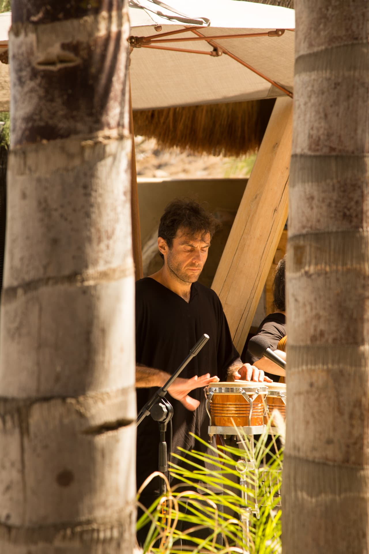 Percussionist framed between palm trunks at sunset